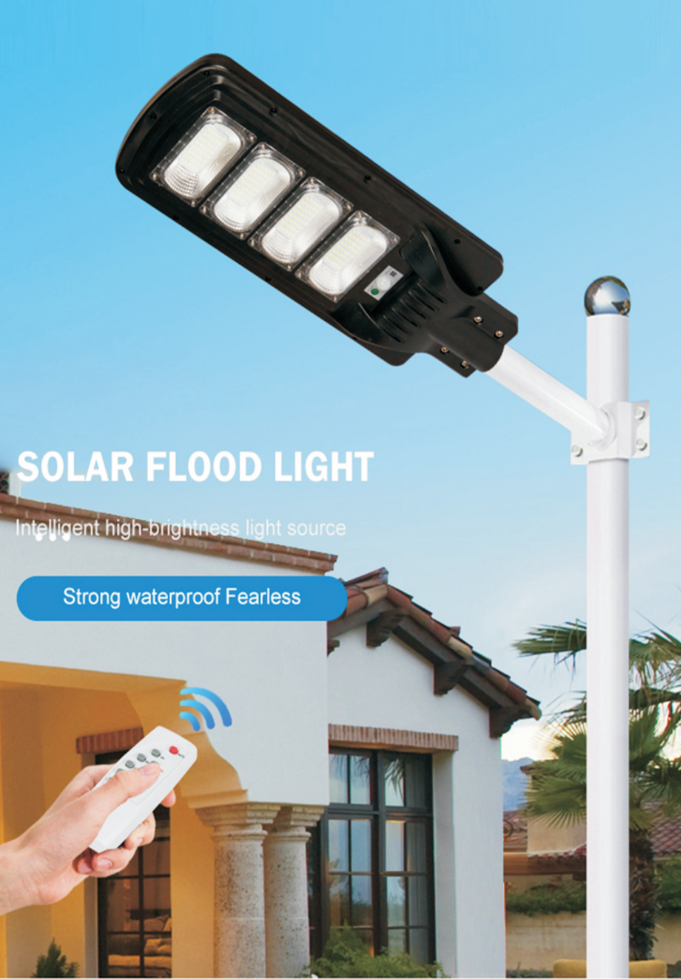 Solar Street Light